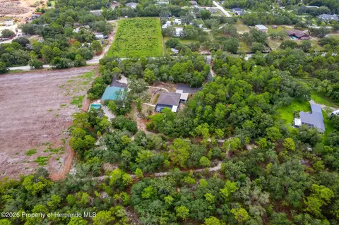 View/Area - 15015 Eckerley Dr, Weeki Wachee, FL 34614 photo 3 of 5