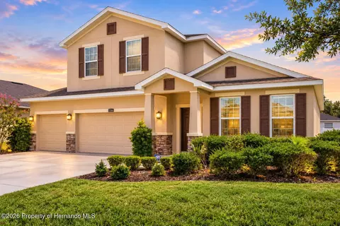 13366 Barkingside Pl, Spring Hill, FL 34609