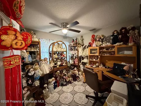 5485 Roble Ave, Spring Hill, FL 34608 photo 20