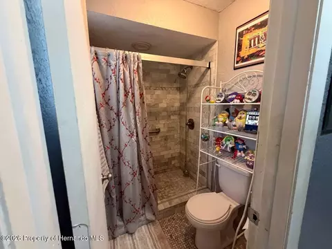 5485 Roble Ave, Spring Hill, FL 34608 photo 22