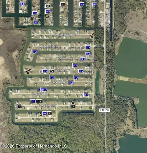 0 Jewfish Dr, Hernando Beach, FL 34607 photo 5