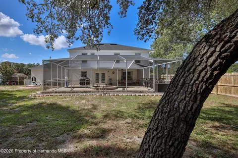 Exterior - 1382 Larkin Rd, Spring Hill, FL 34608 photo 7 of 11