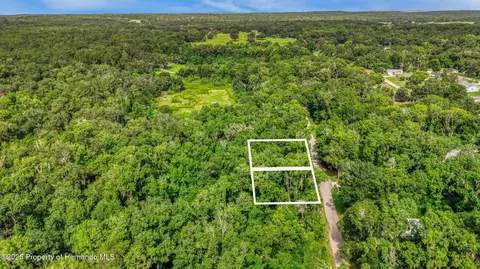 0 Fitzhugh Ave, Brooksville, FL 34601