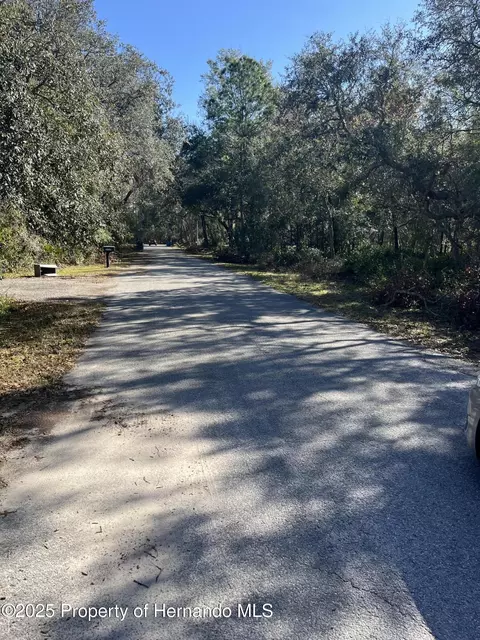 0 Excalibur Rd, Webster, FL 33597 photo 3