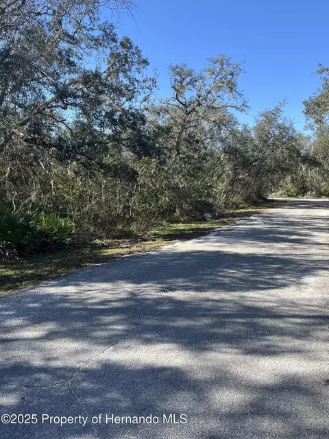 0 Excalibur Rd, Webster, FL 33597 photo 2