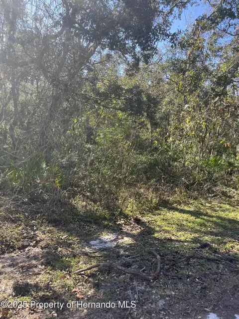 0 Excalibur Rd, Webster, FL 33597 photo 4