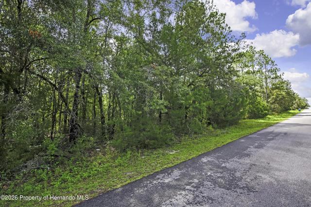 0 English Sparrow Rd, Weeki Wachee, FL 34614