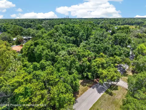 0 Palm Point Dr, Inglis, FL 34449 photo 5