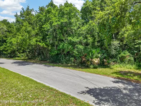 0 Palm Point Dr, Inglis, FL 34449 photo 2