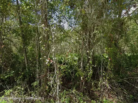 11457 Tulane St, New Port Richey, FL 34654