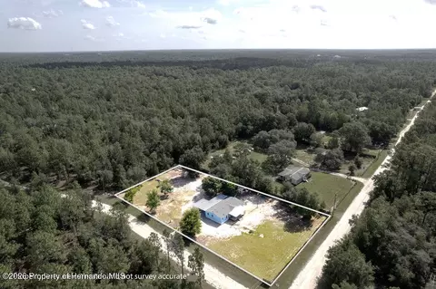 View/Area - 7491 NE 101st Ct, Bronson, FL 32621 photo 1 of 3