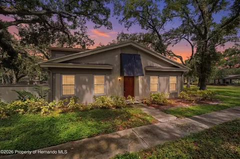 6214 Dewdrop Way, Tampa, FL 33617