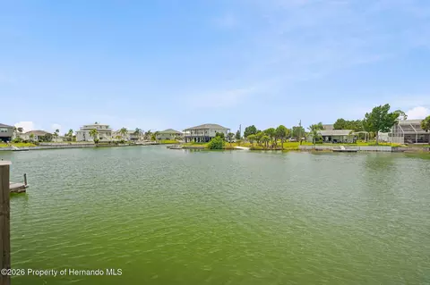 View/Area - 3199 Azalea Dr, Hernando Beach, FL 34607 photo 2 of 14