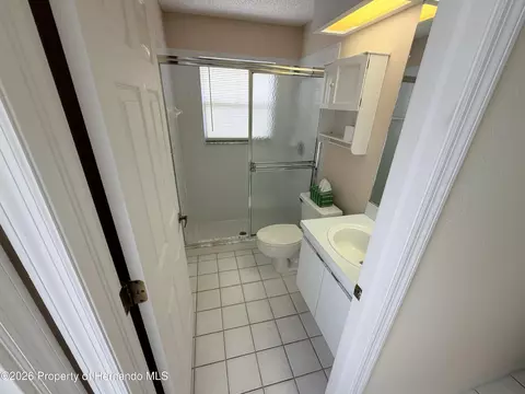 Bath - 5109 Panther Dr, Spring Hill, FL 34607 photo 3 of 4