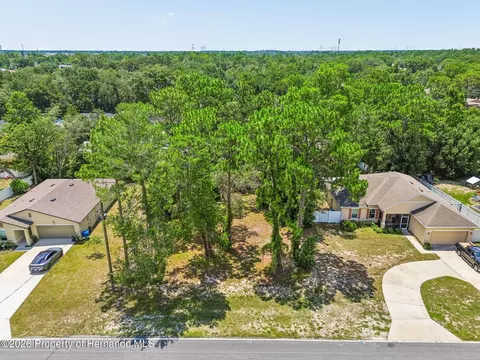 View/Area - 4235 Castle Ave, Spring Hill, FL 34609 photo 13 of 16