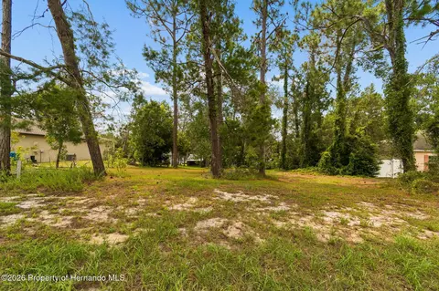 Other - 4235 Castle Ave, Spring Hill, FL 34609 photo 19 of 28