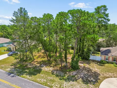 View/Area - 4235 Castle Ave, Spring Hill, FL 34609 photo 14 of 16