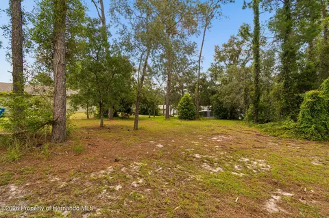 Other - 4235 Castle Ave, Spring Hill, FL 34609 photo 18 of 28