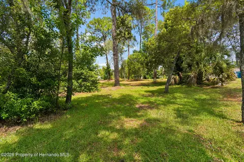 Exterior - 4235 Castle Ave, Spring Hill, FL 34609 photo 13 of 15