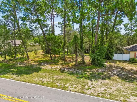 Other - 4235 Castle Ave, Spring Hill, FL 34609 photo 25 of 28