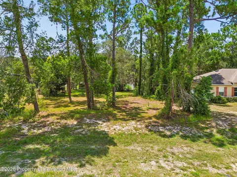 Other - 4235 Castle Ave, Spring Hill, FL 34609 photo 24 of 28
