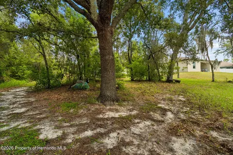 Exterior - 4235 Castle Ave, Spring Hill, FL 34609 photo 11 of 15