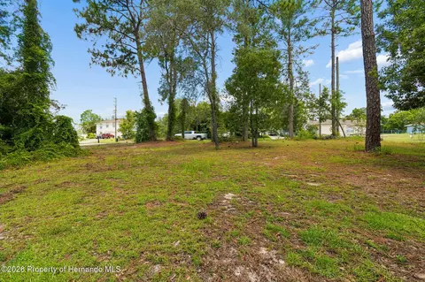 Other - 4235 Castle Ave, Spring Hill, FL 34609 photo 16 of 28
