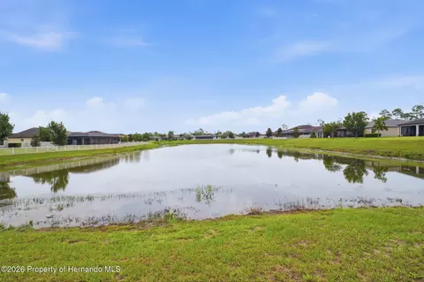 View/Area - 12929 Palapa Loop, Spring Hill, FL 34610 photo 1 of 13