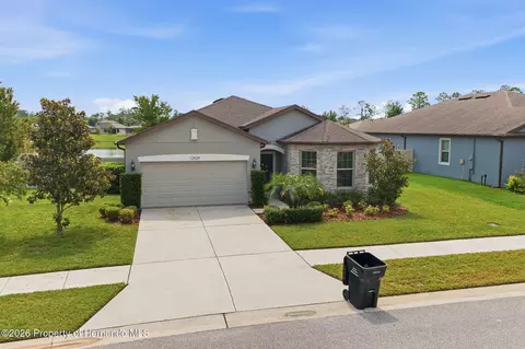 Exterior - 12929 Palapa Loop, Spring Hill, FL 34610 photo 9 of 10