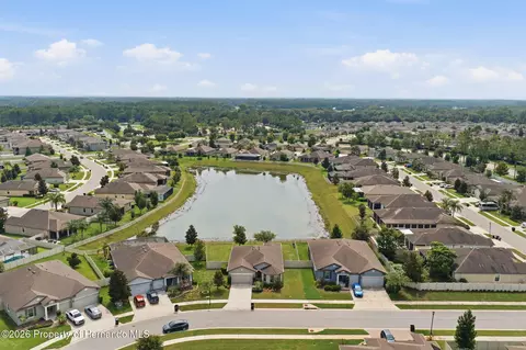 View/Area - 12929 Palapa Loop, Spring Hill, FL 34610 photo 6 of 13
