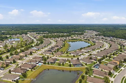 View/Area - 12929 Palapa Loop, Spring Hill, FL 34610 photo 12 of 13