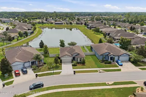 View/Area - 12929 Palapa Loop, Spring Hill, FL 34610 photo 4 of 13