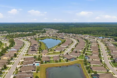 View/Area - 12929 Palapa Loop, Spring Hill, FL 34610 photo 7 of 13