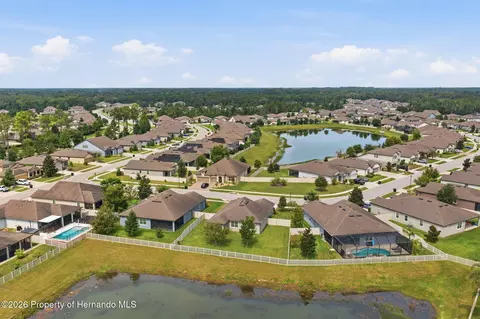View/Area - 12929 Palapa Loop, Spring Hill, FL 34610 photo 11 of 13