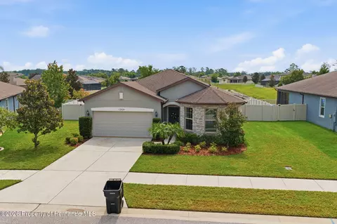 Exterior - 12929 Palapa Loop, Spring Hill, FL 34610 photo 10 of 10