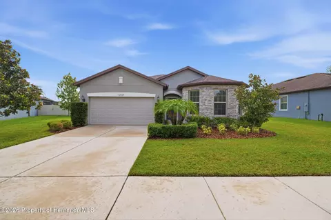 Exterior - 12929 Palapa Loop, Spring Hill, FL 34610 photo 4 of 10