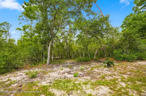 Exterior - 6454 Freeport Dr, Spring Hill, FL 34608 photo 5 of 5