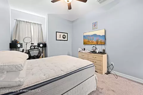 Bedroom - 4501 Birchfield Loop, Spring Hill, FL 34609 photo 9 of 10
