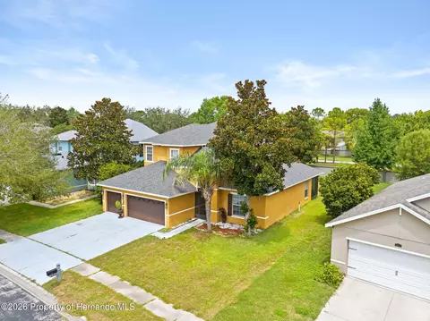 View/Area - 4501 Birchfield Loop, Spring Hill, FL 34609 photo 3 of 6