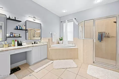 Bath - 4501 Birchfield Loop, Spring Hill, FL 34609 photo 2 of 3
