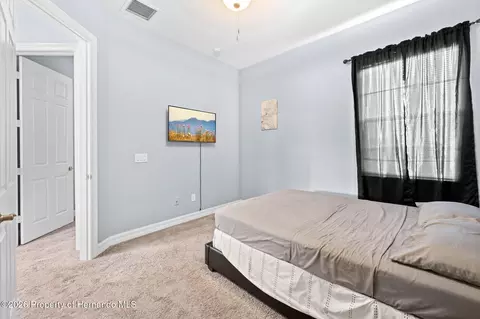 Bedroom - 4501 Birchfield Loop, Spring Hill, FL 34609 photo 5 of 10