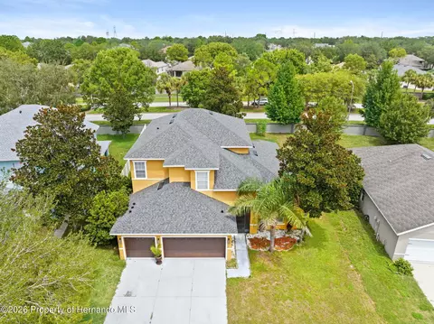 View/Area - 4501 Birchfield Loop, Spring Hill, FL 34609 photo 1 of 6