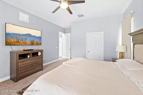 Bedroom - 4501 Birchfield Loop, Spring Hill, FL 34609 photo 4 of 10