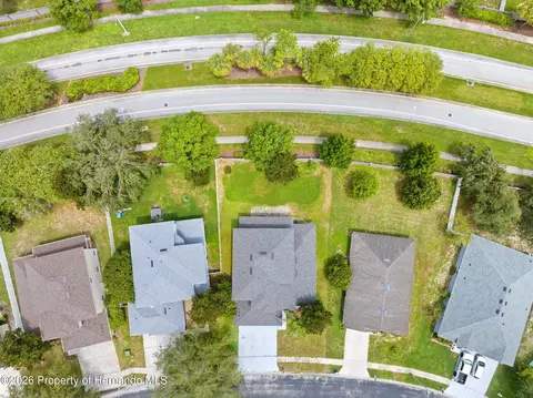 View/Area - 4501 Birchfield Loop, Spring Hill, FL 34609 photo 5 of 6