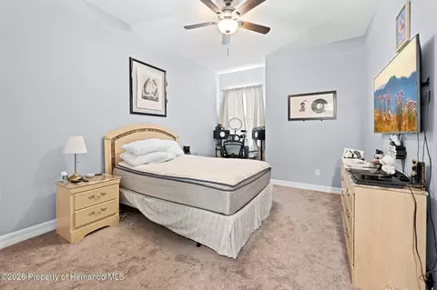 Bedroom - 4501 Birchfield Loop, Spring Hill, FL 34609 photo 8 of 10