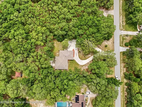 View/Area - 162 W Massachusetts St, Hernando, FL 34442 photo 1 of 3