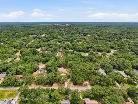 View/Area - 162 W Massachusetts St, Hernando, FL 34442 photo 3 of 3