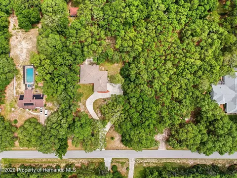 View/Area - 162 W Massachusetts St, Hernando, FL 34442 photo 2 of 3