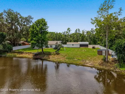 View/Area - 4101 E Gloria Dr, Hernando, FL 34442 photo 3 of 10