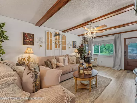 Living - 4101 E Gloria Dr, Hernando, FL 34442 photo 4 of 9